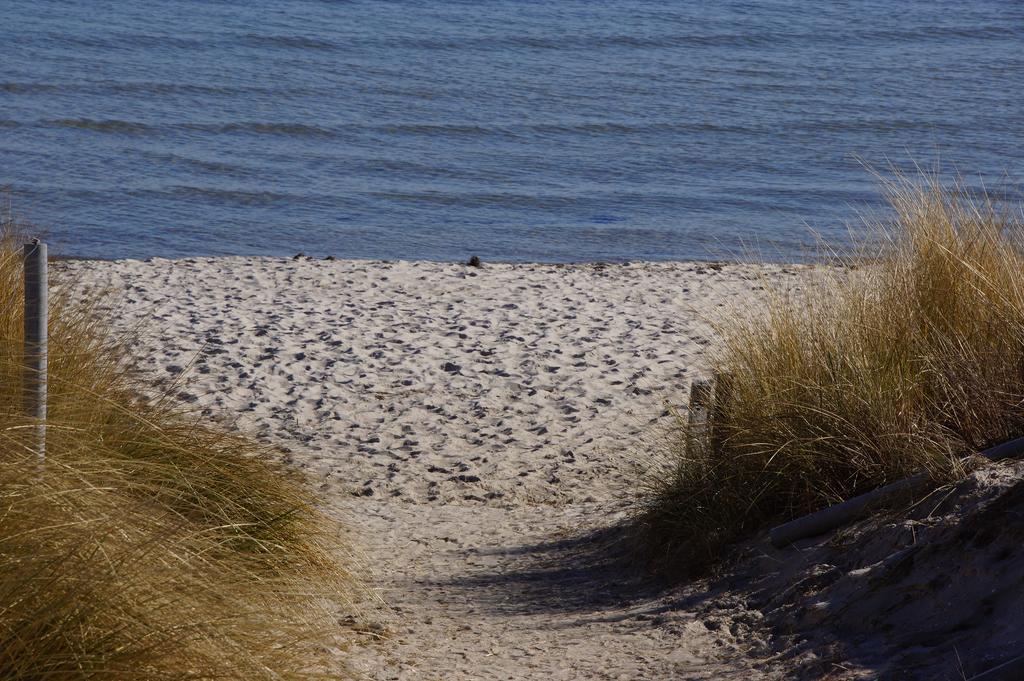 Apartamento Urlaub auf der Insel Rügen Bergen Auf Rugen Exterior foto